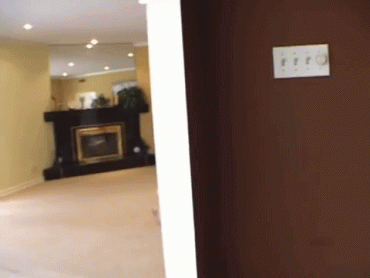 Sex Gif - wife being caught cheating