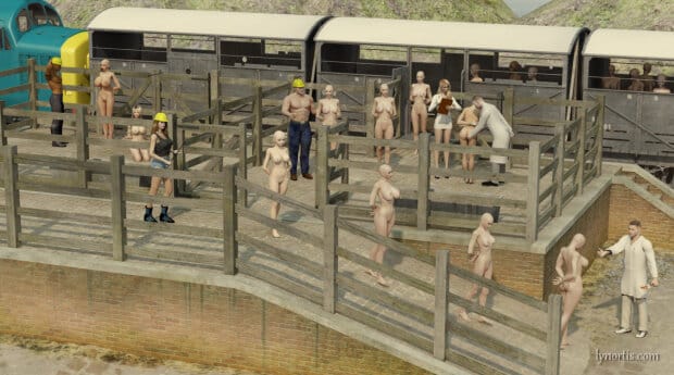 Fresh meat from the farms