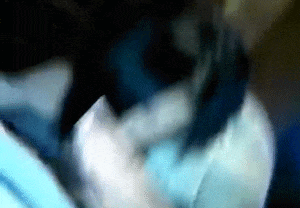 Sex Gif - Before my stepbrothers birthday dinner with the fam