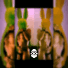 Sex Gif - Bunny Season