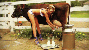 Sex Gif - Cute milking women