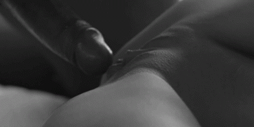 Sex Gif - Hot pussy penetration