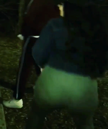 Sex Gif - jiggly fat ass