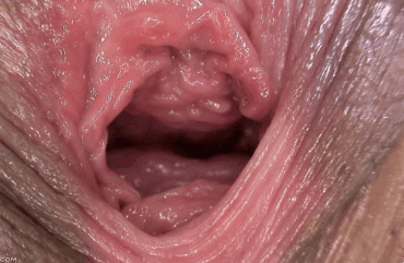 Sex Gif - just a pussy
