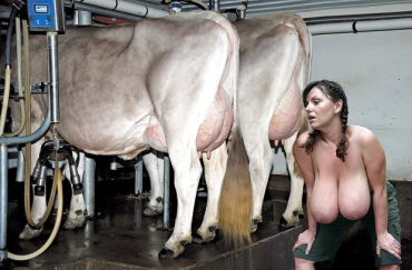 Gif - Perfect udders for milking [2022] - Sex Gifs, Porno Gifs, 18 ...
