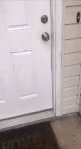 Sex Gif - Slut Wife Caught Cheating