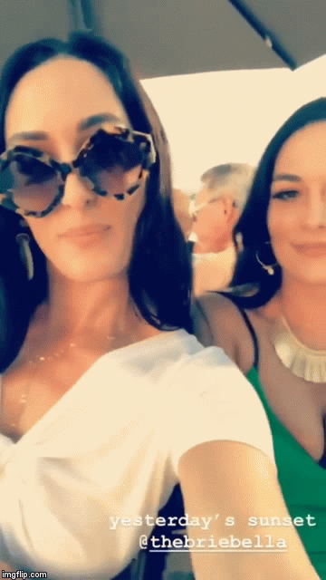 Sex Gif - Slutty Bella Twins