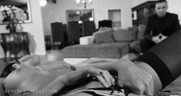 Sex Gif - Spectator sport