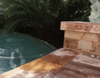 Sex Gif - Brunette shaking her wet tits